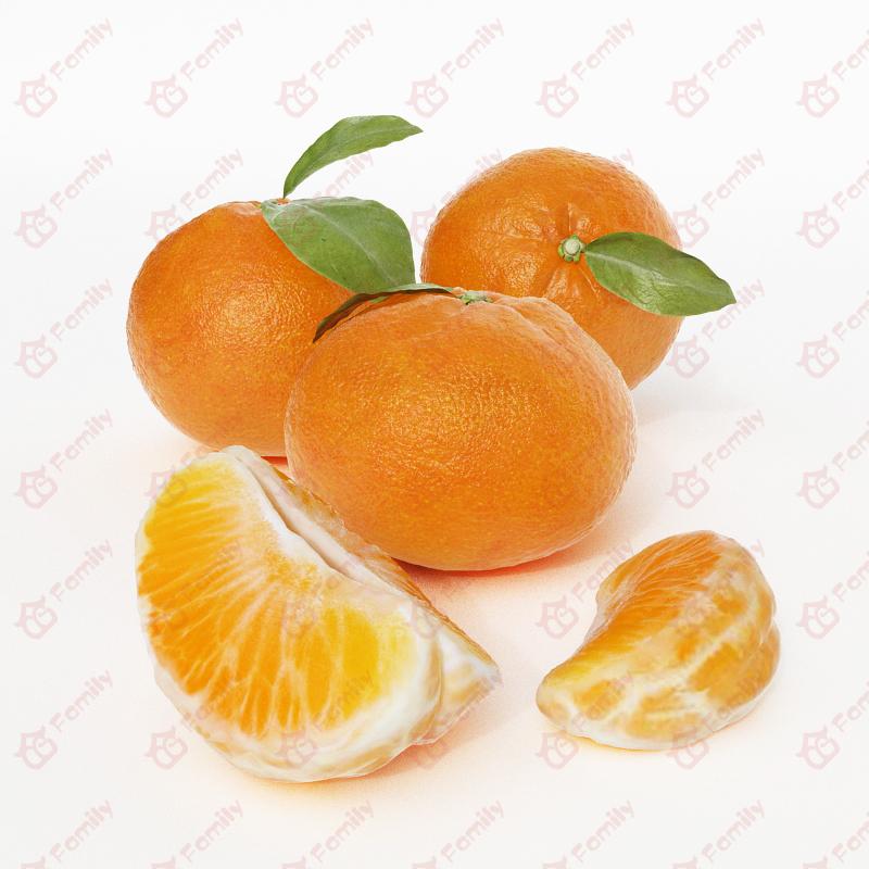 超精度水果橘子橙子3d模型免费下载