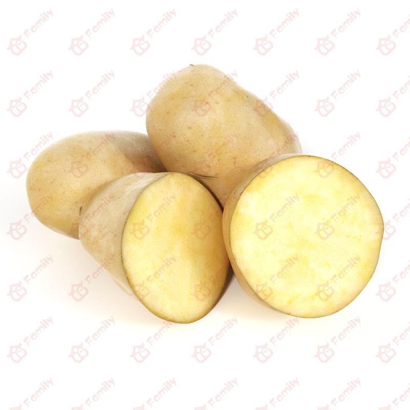 超精度蔬菜土豆3d模型免费下载
