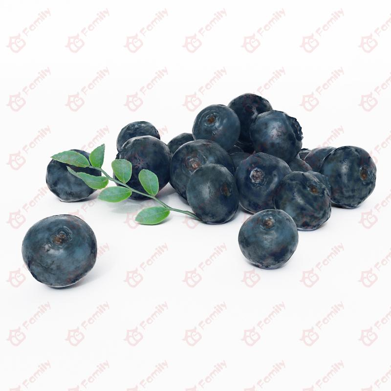 超精度水果蓝莓3d模型免费下载