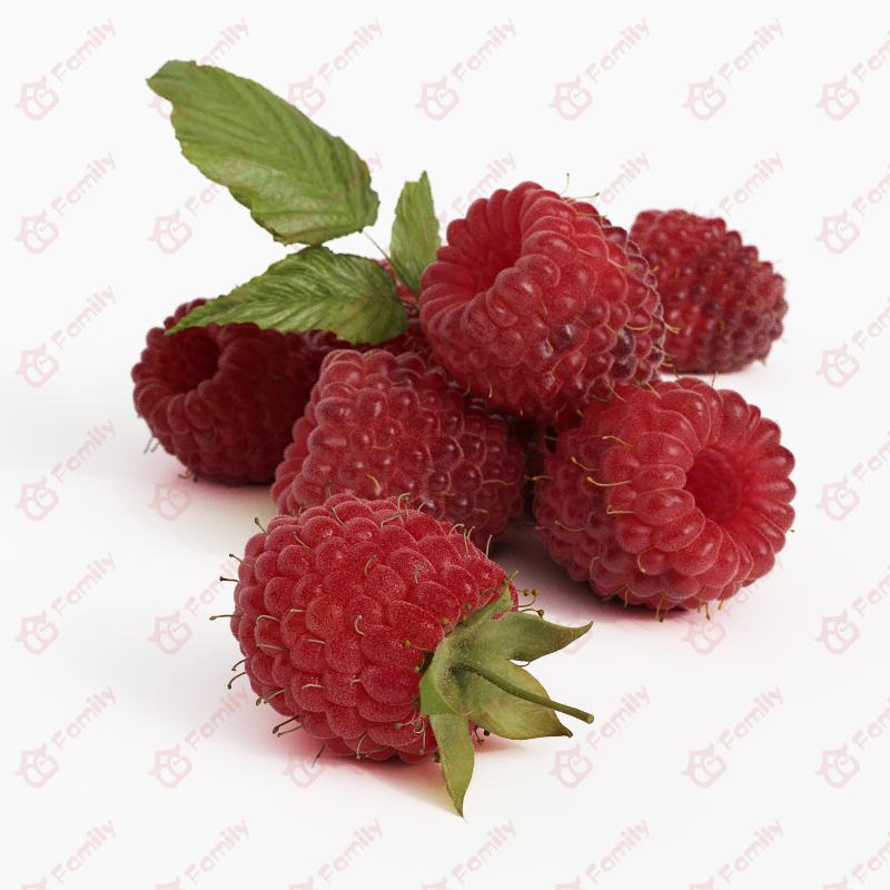 超精度水果树莓3d模型免费下载