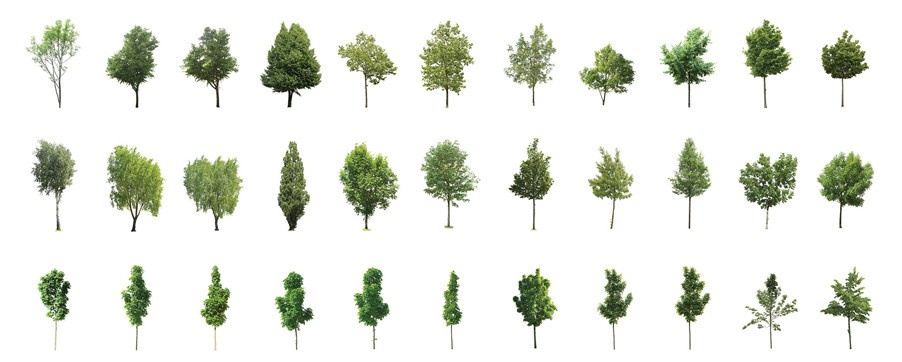 高质量透贴树木素材  Forest/Digital vol. 1、2、5