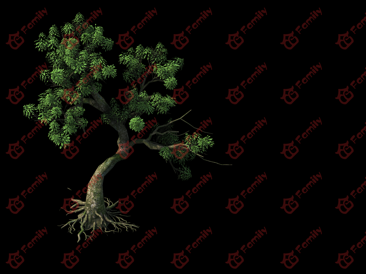 3D高精度树景观植物模型