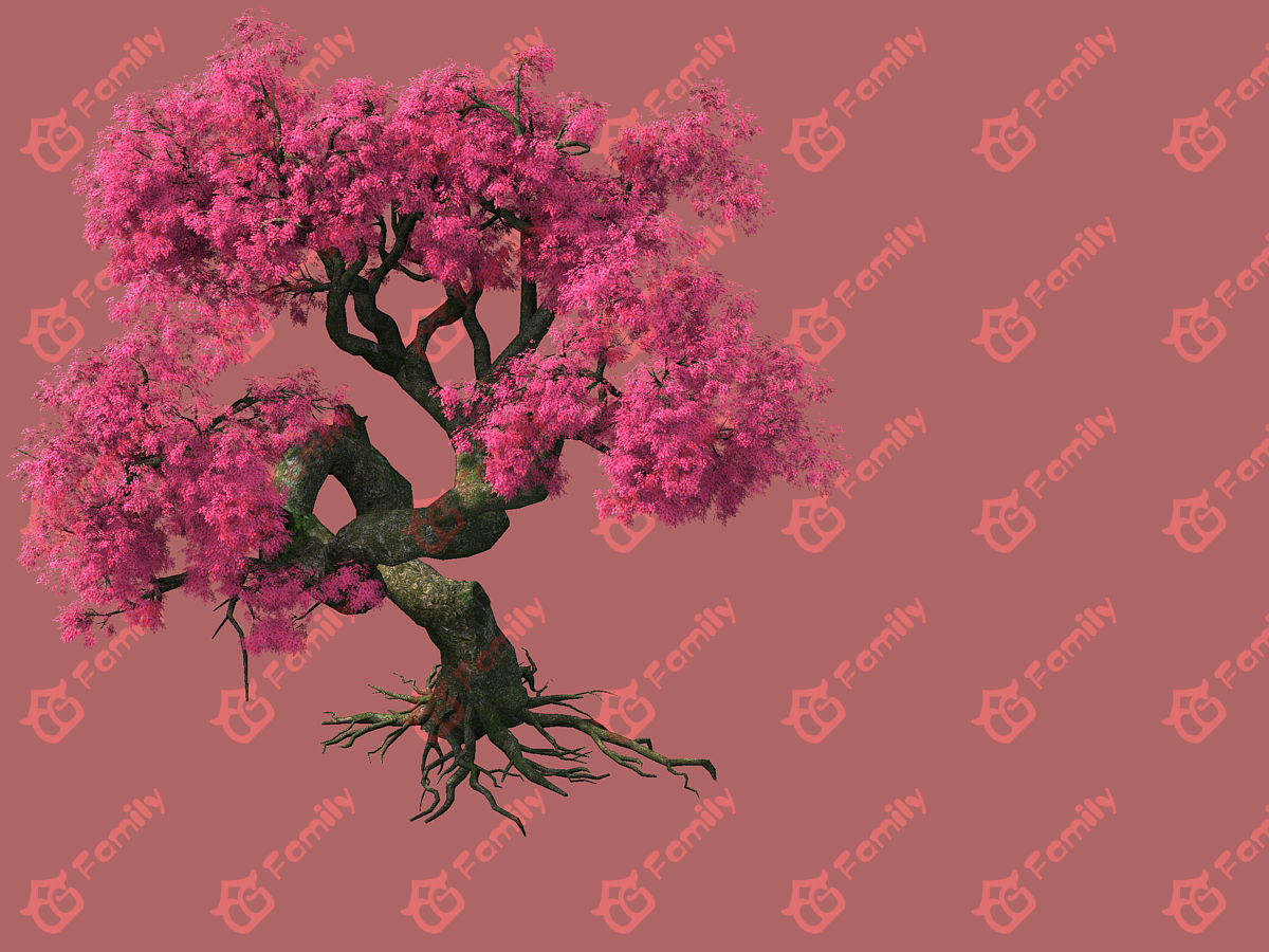 粉红色的樱花古树3d模型下载