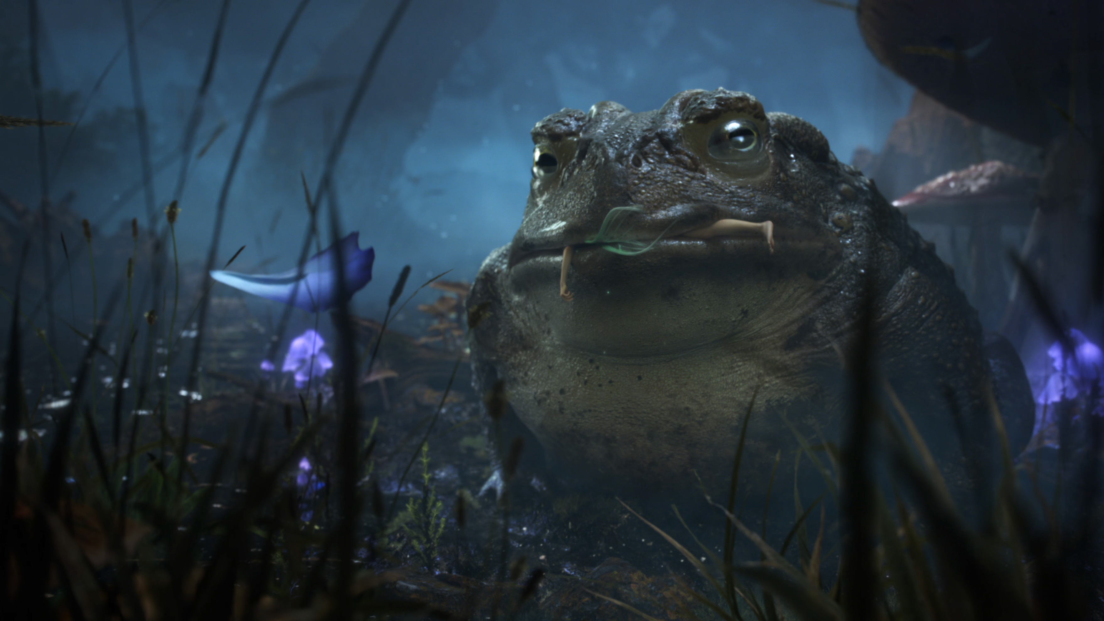 Toad | Fable - Official Announce Trailer