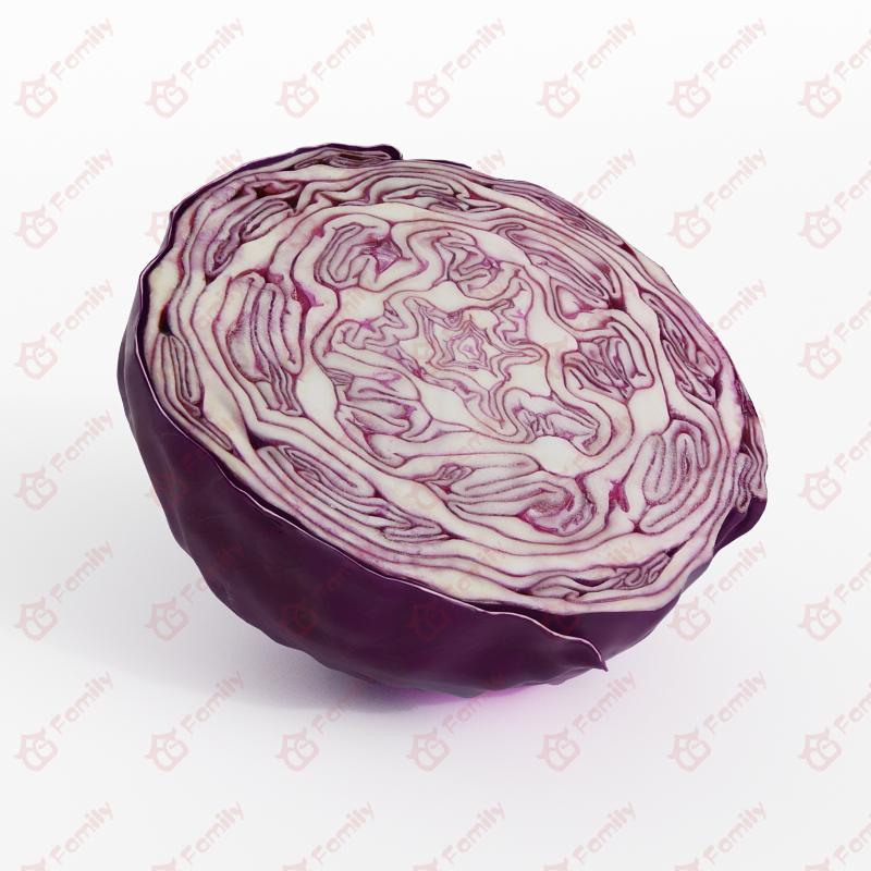 紫甘蓝包菜_蔬菜3d模型免费下载