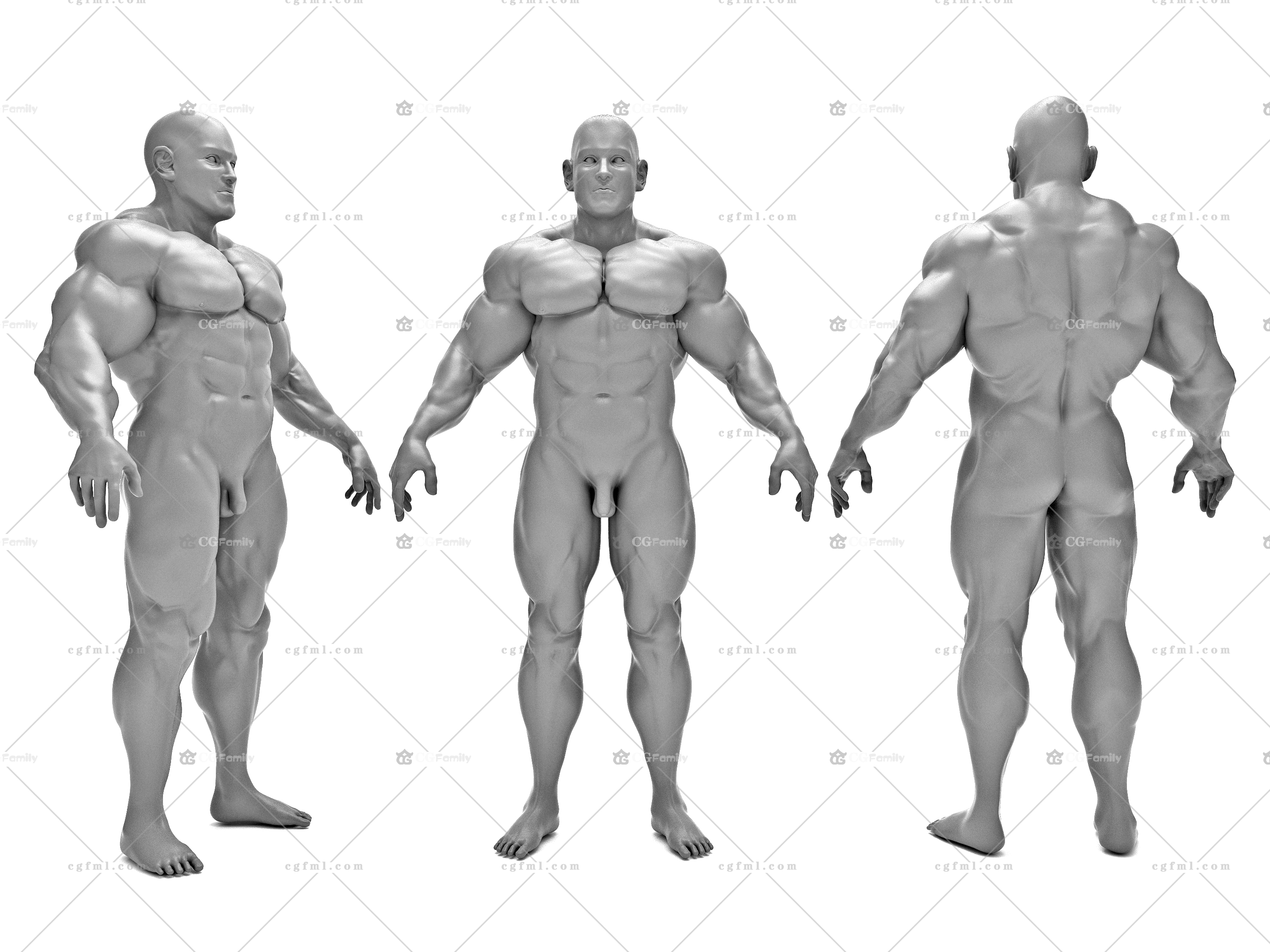 肌肉男子男人体男性人物男模摆件雕塑雕刻塑像树脂摆件男人裸体模特 Cgfamily